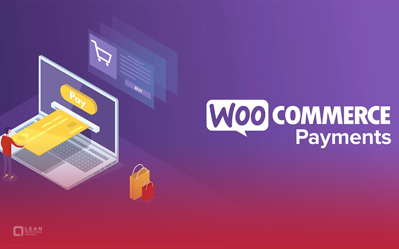 best WordPress payment gateway plugin 9