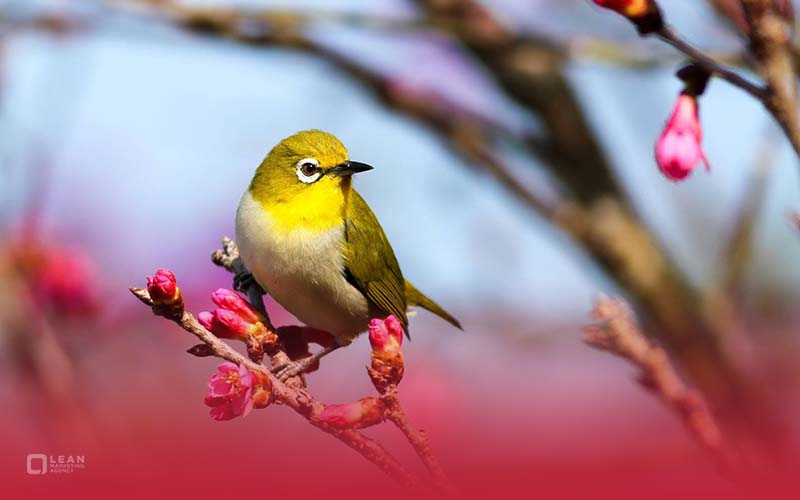 عکاسی و تولید محتوای تصویری